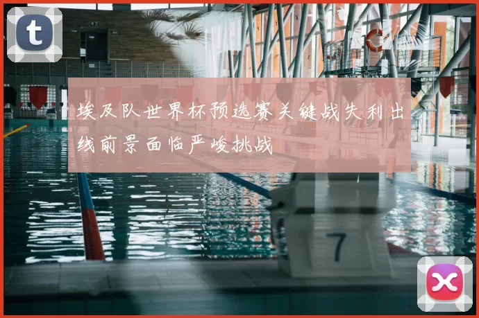 埃及队世界杯预选赛关键战失利出线前景面临严峻挑战