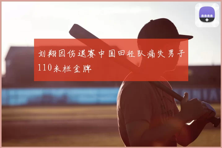 刘翔因伤退赛中国田径队痛失男子110米栏金牌